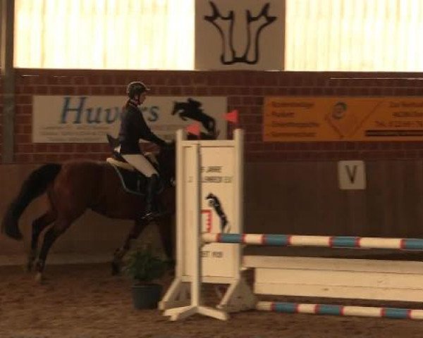 17. Hallen-Reit- und Springturnier Lembeck