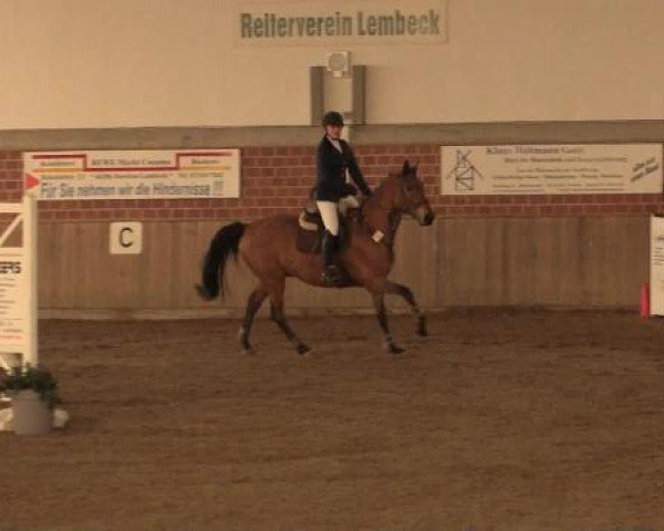 17. Hallen-Reit- und Springturnier Lembeck