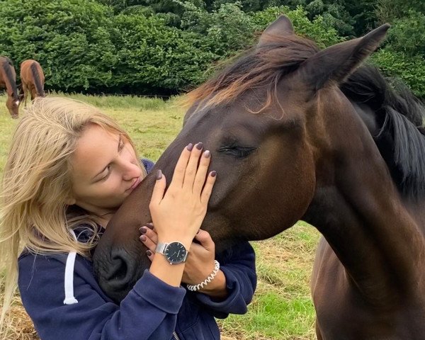 Pferd Belle Amie 92 (Oldenburger, 2019, von Bel Amour 3)