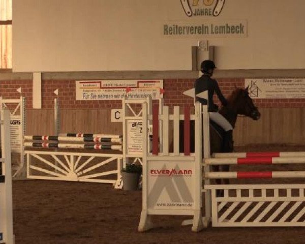 17. Hallen-Reit- und Springturnier Lembeck