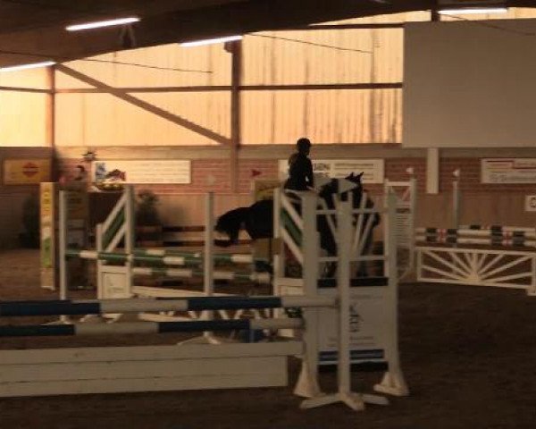 17. Hallen-Reit- und Springturnier Lembeck