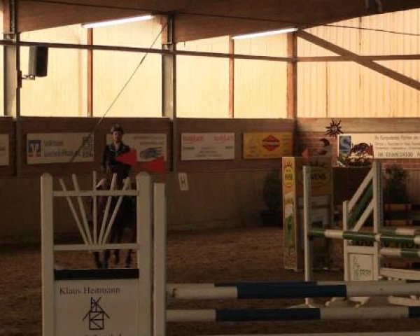 17. Hallen-Reit- und Springturnier Lembeck