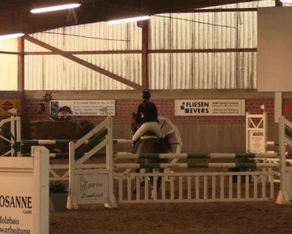 17. Hallen-Reit- und Springturnier Lembeck