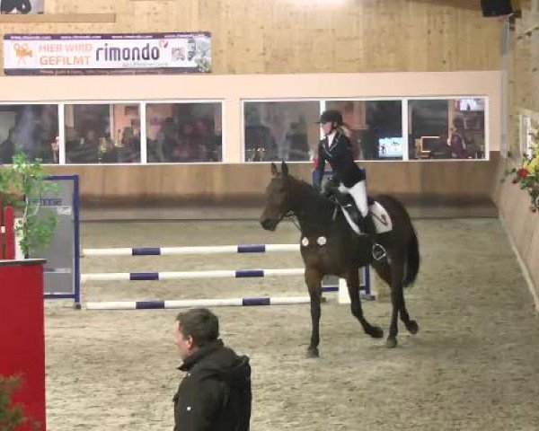 Springturnier Dettingen Late Entry 2015