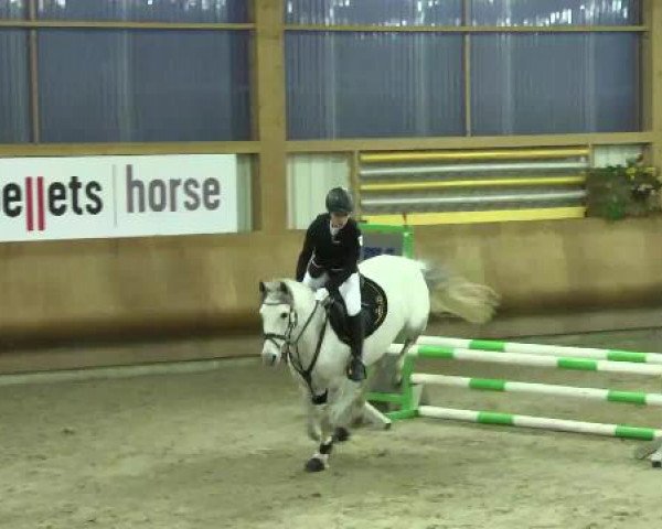 Springturnier Dettingen Late Entry 2015