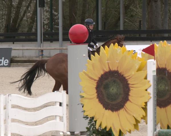 Equestrian Show Balve-Wocklum 2026