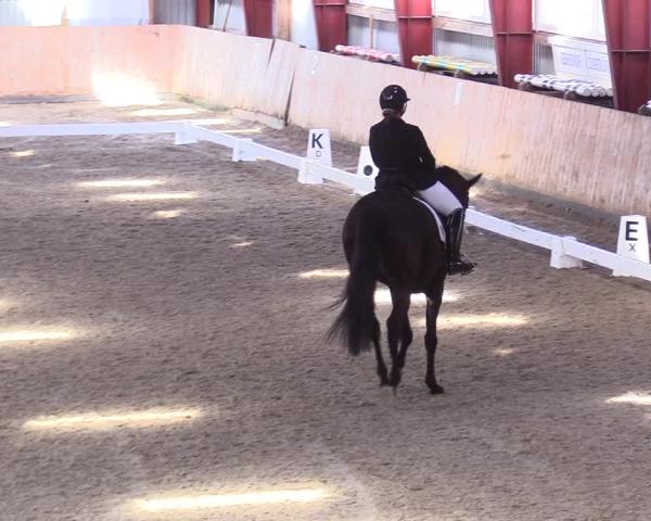 Rideturnering Süderlügum 2026