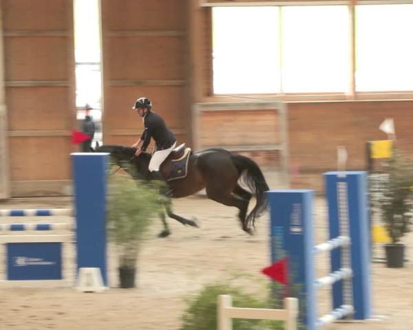 Equestrian Show Rüti 2026