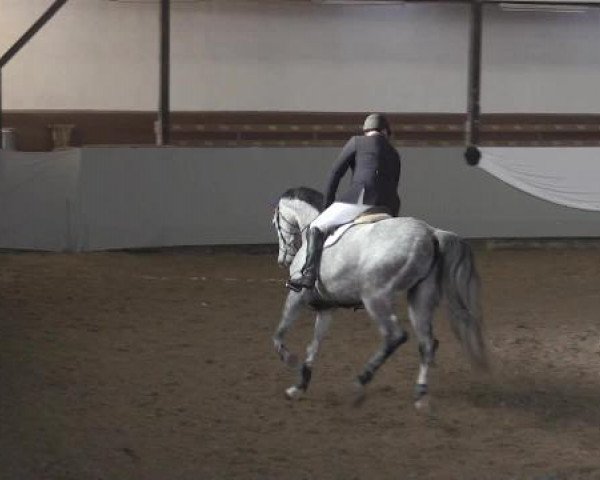 Hallenturnier Vlotho-Exter 2015