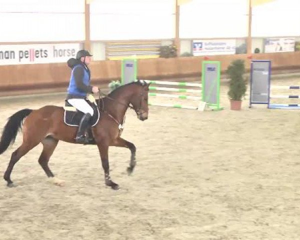 Springturnier Dettingen Late Entry 2015