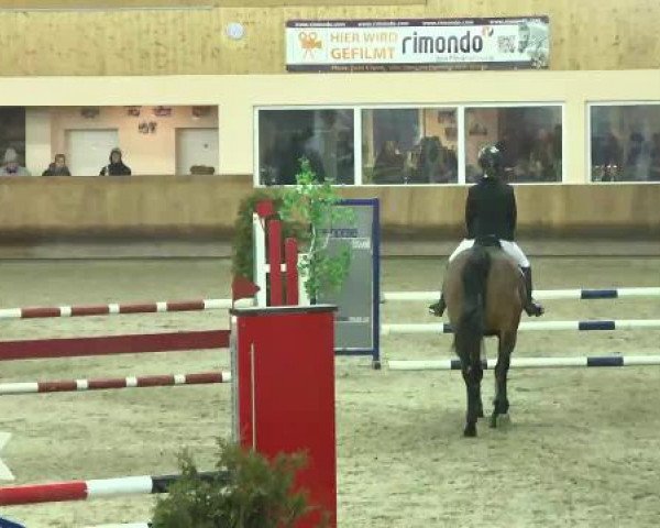 Springturnier Dettingen Late Entry 2015
