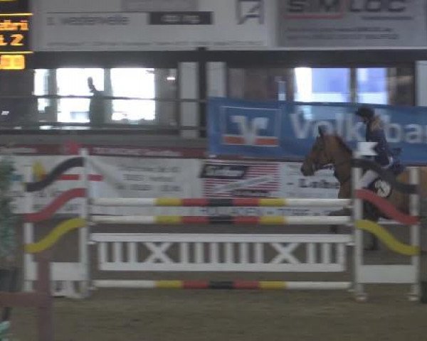 Hallenturnier Vlotho-Exter 2015