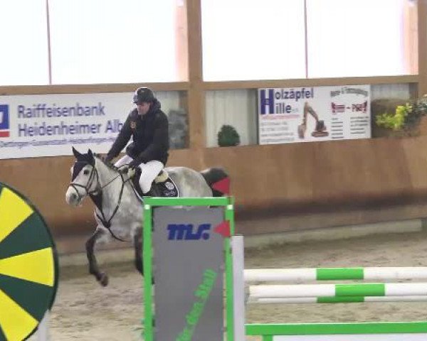 Springturnier Dettingen Late Entry 2015