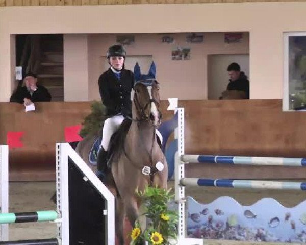 Springturnier Dettingen Late Entry 2015