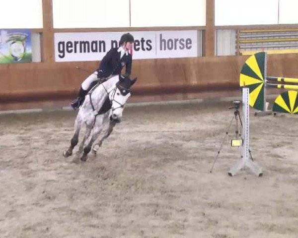 Springturnier Dettingen Late Entry 2015