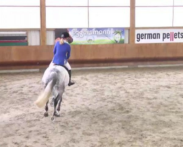 Springturnier Dettingen Late Entry 2015