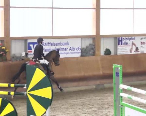 Springturnier Dettingen Late Entry 2015