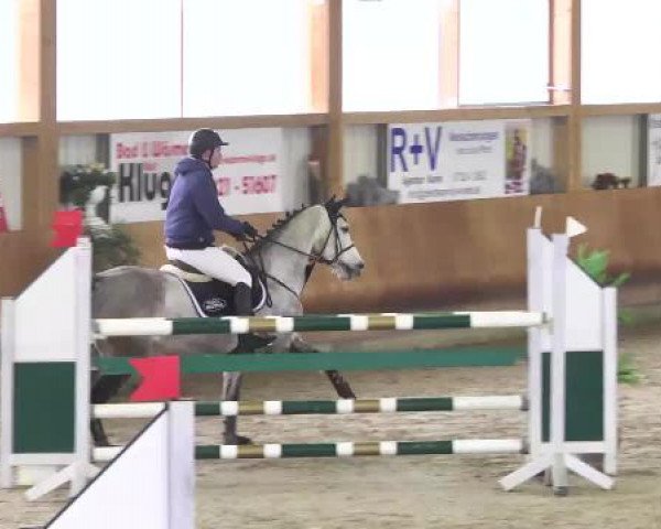 Springturnier Dettingen Late Entry 2015