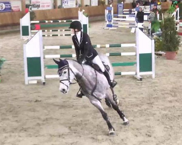 Springturnier Dettingen Late Entry 2015