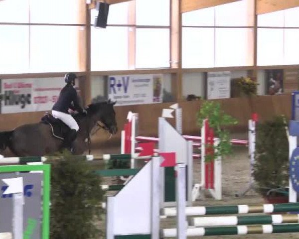 Springturnier Dettingen Late Entry 2015