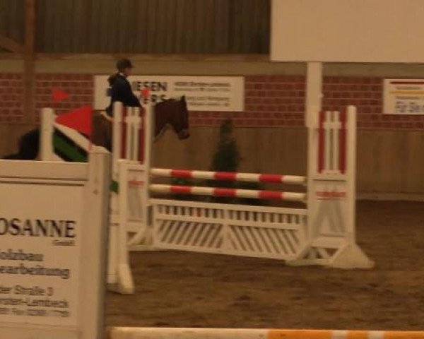 17. Hallen-Reit- und Springturnier Lembeck