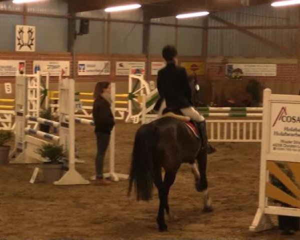 17. Hallen-Reit- und Springturnier Lembeck