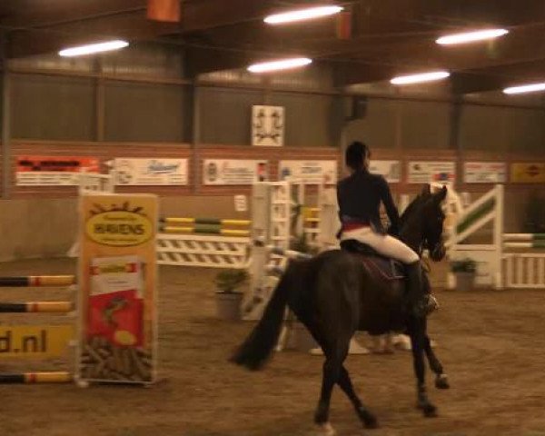 17. Hallen-Reit- und Springturnier Lembeck