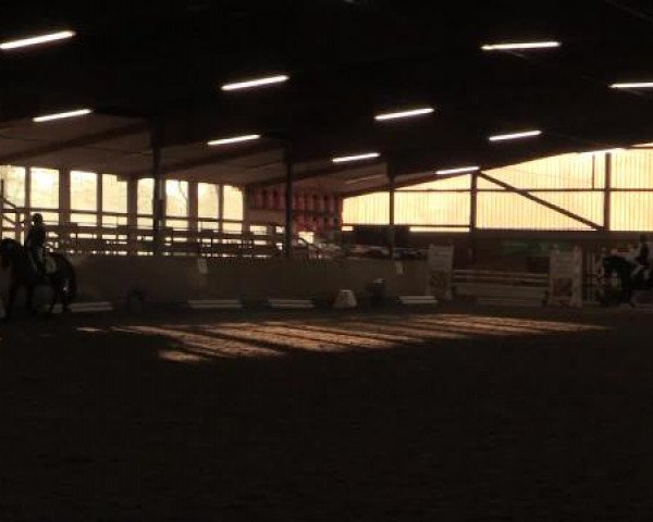 17. Hallen-Reit- und Springturnier Lembeck