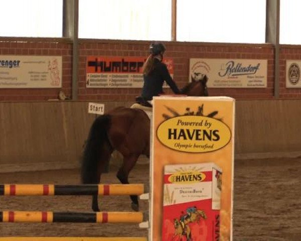 17. Hallen-Reit- und Springturnier Lembeck