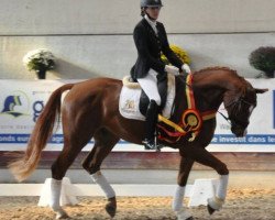 dressage horse Basali (Hanoverian, 2011, from Belissimo NRW)