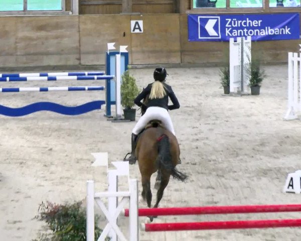 Reitturnier Rüti 2021