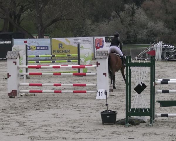 Torneo Ecuestre Lentzke - Reitanlage Krehl 2026