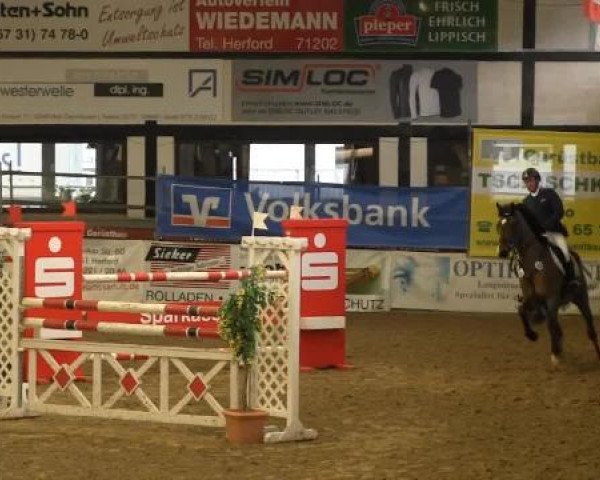 Hallenturnier Vlotho-Exter 2015