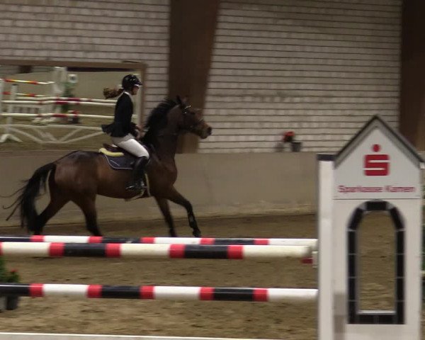 Reitturnier Kamen 2021