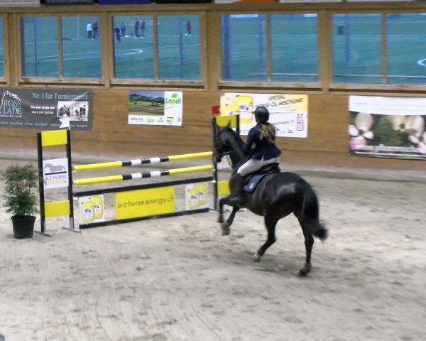 Reitturnier Rüti 2021