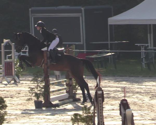 Turniej Jeździecki Pietzpuhl 2026