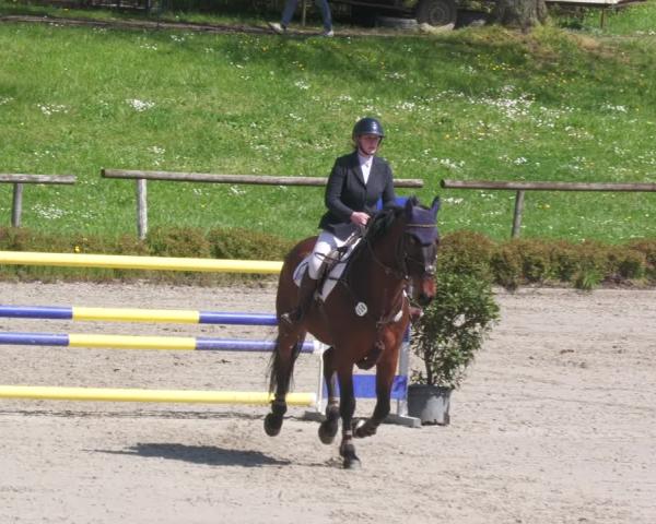 Rideturnering Tübingen 2026