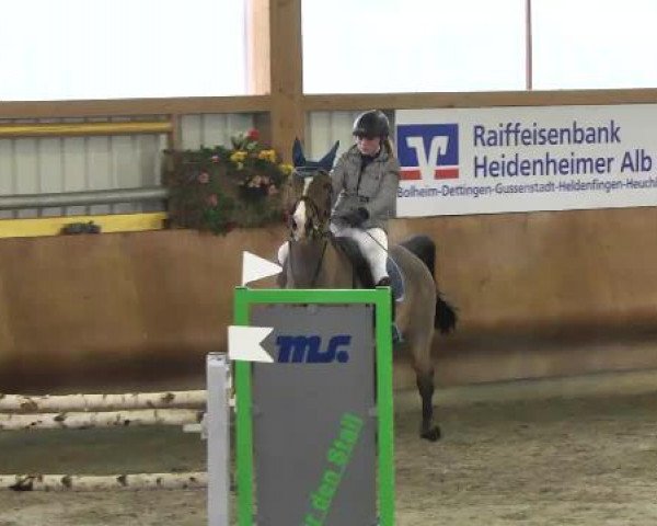 Springturnier Dettingen Late Entry 2015