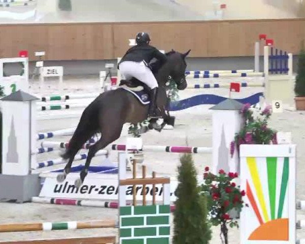 Hallenturnier Illertissen 2015
