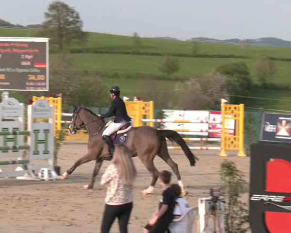 Reitturnier Lindlar-Süttenbach 2026