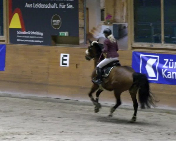 Reitturnier Rüti 2021