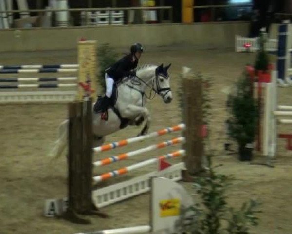 Hallenspringturnier Heidelberg-Kirchheim 2015