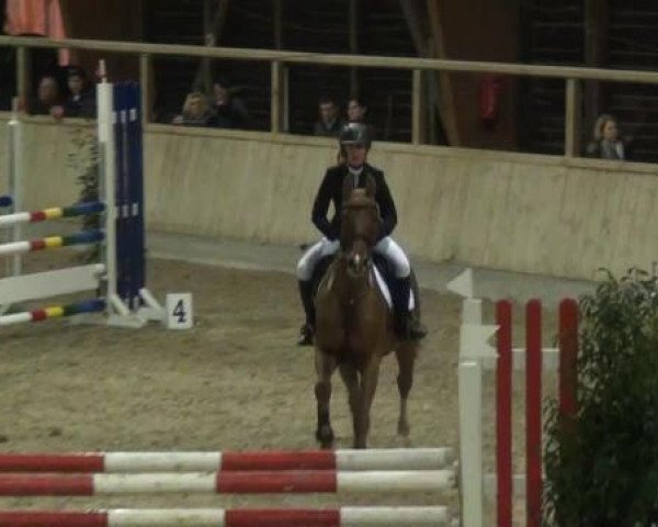 Hallenspringturnier Heidelberg-Kirchheim 2015