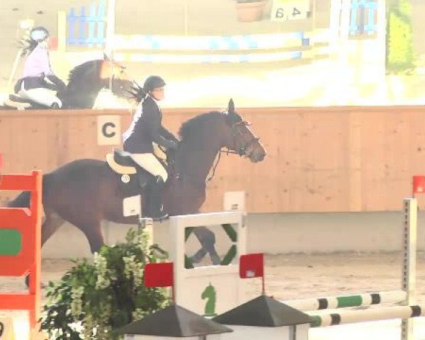 Hallenturnier Illertissen 2015
