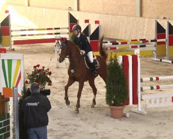 Hallenturnier Illertissen 2015