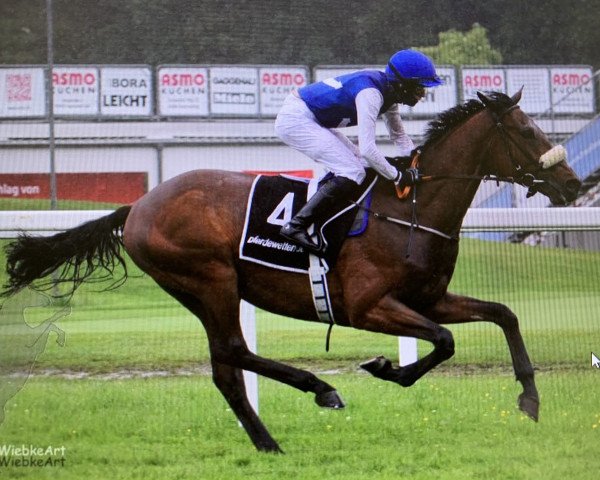 horse Axamer Lizum xx (Thoroughbred, 2015, from Nathaniel xx)
