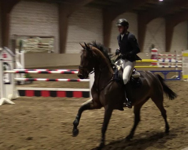Reitturnier Kamen 2021