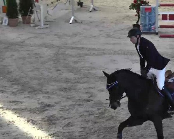 Hallenturnier Illertissen 2015