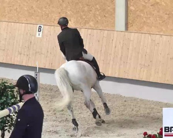 Hallenturnier Illertissen 2015
