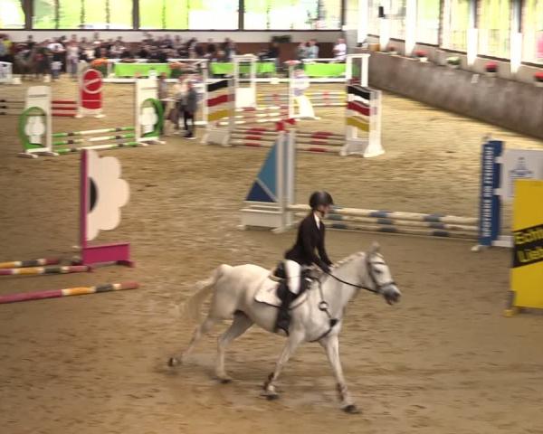 Reitturnier Werne-Lenklar 2026